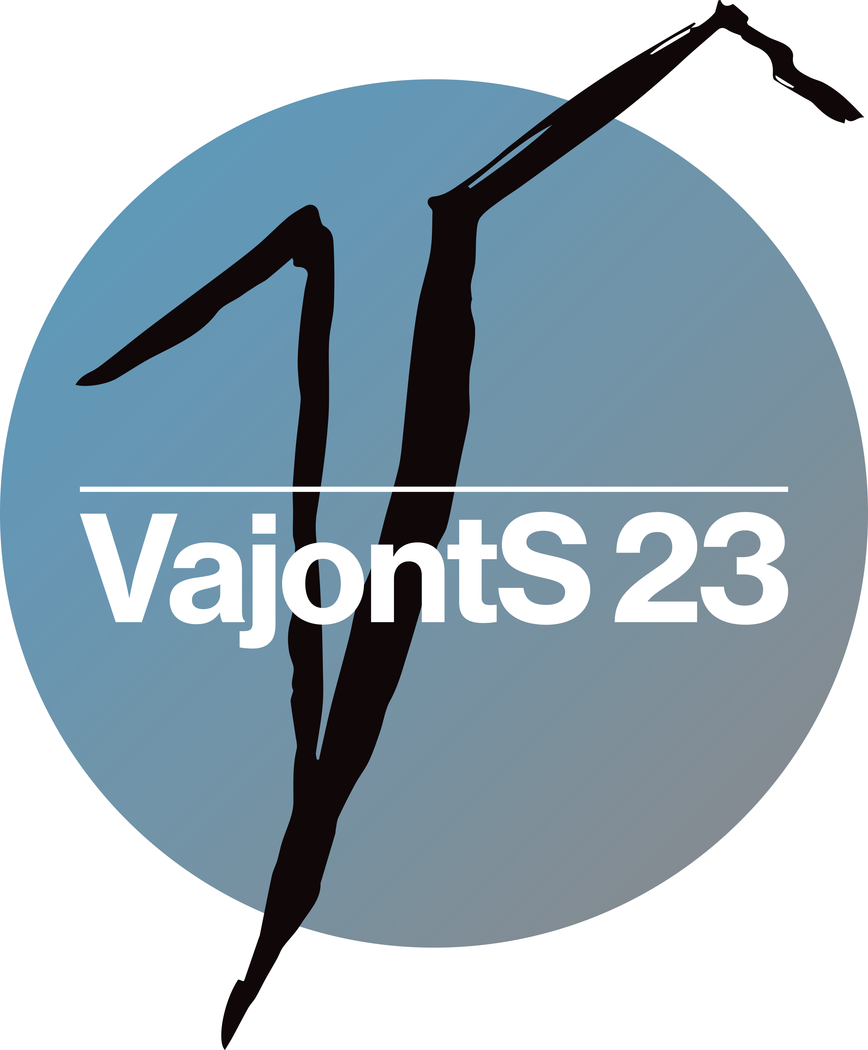 Logo VajontS