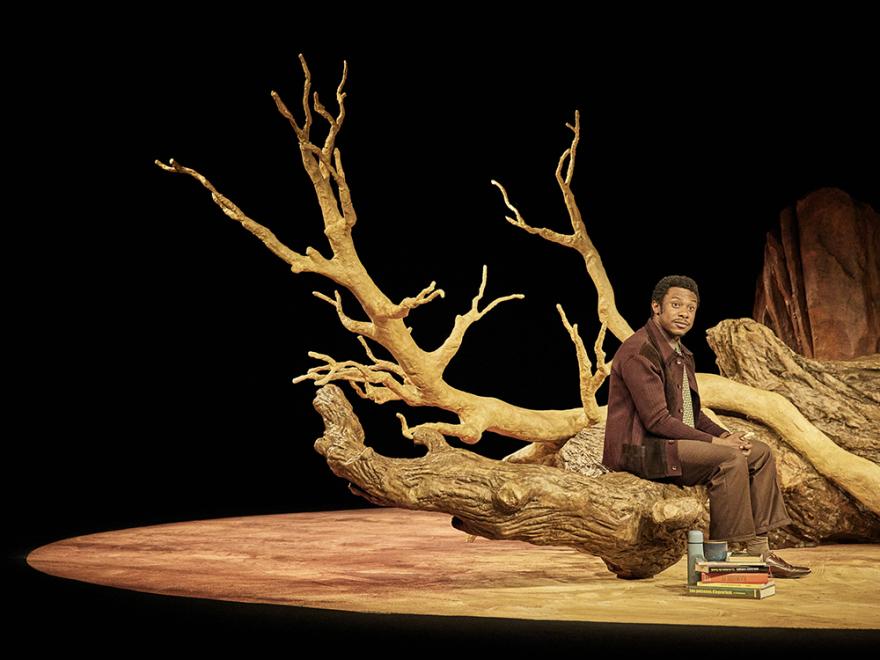 © Christophe Raynaud de Lage / Festival d’Avignon