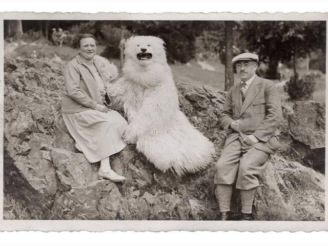 TEDDYBÄR, collection Jean-Marie Donat