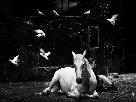 © François Passerini