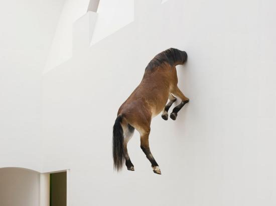 © Axel Schneider