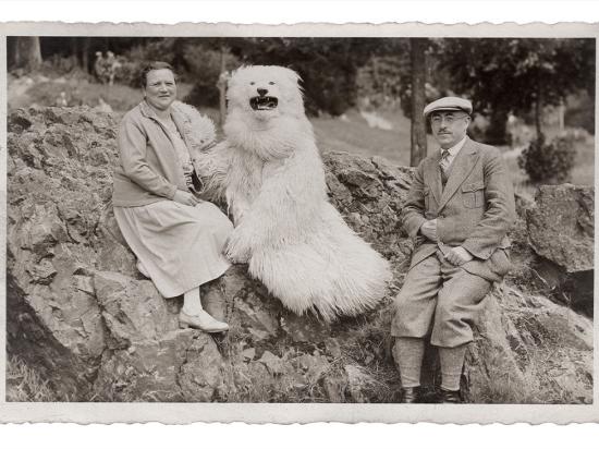 TEDDYBÄR, collection Jean-Marie Donat